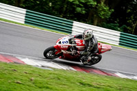 cadwell-no-limits-trackday;cadwell-park;cadwell-park-photographs;cadwell-trackday-photographs;enduro-digital-images;event-digital-images;eventdigitalimages;no-limits-trackdays;peter-wileman-photography;racing-digital-images;trackday-digital-images;trackday-photos